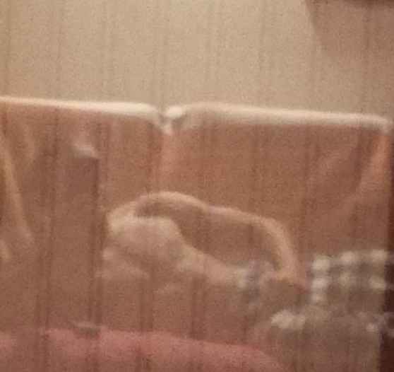 Profil de Franciszek